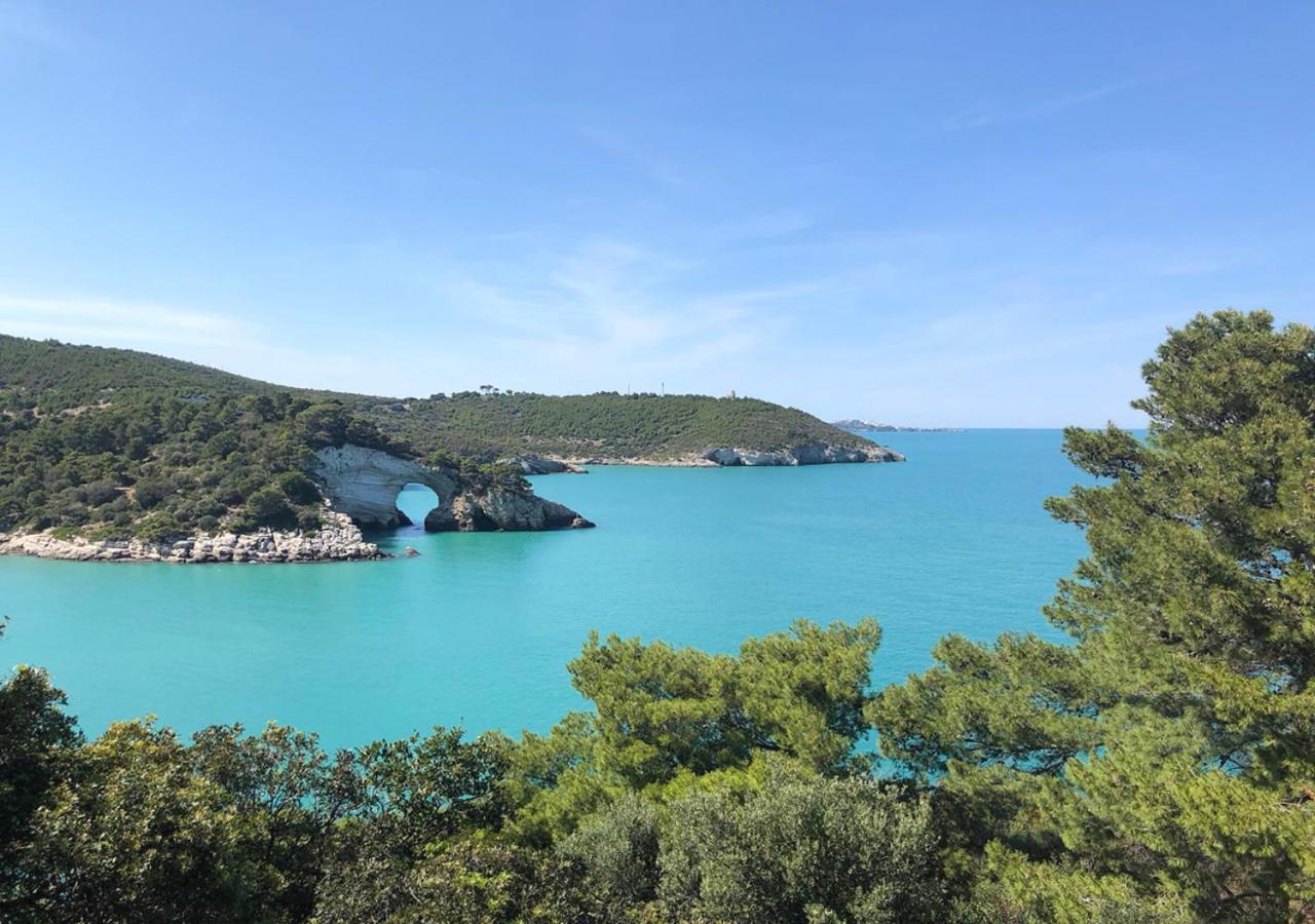 Vieste Suite Exteriör bild