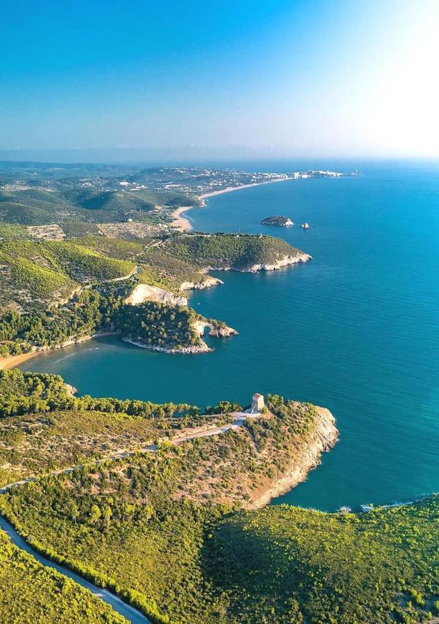 Vieste Suite Exteriör bild